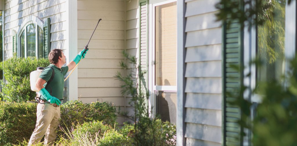 Strategic Pest Control Preparations for a Smooth Transition into Your New Residence